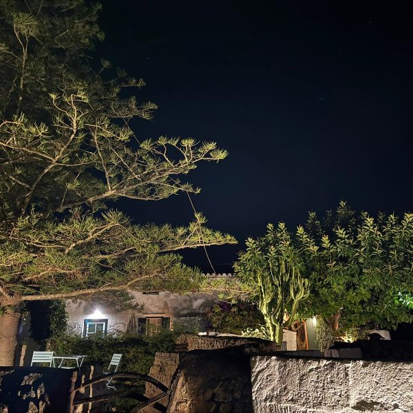 WhatsApp Image 2025-11-11 at 19.50.59 (1)