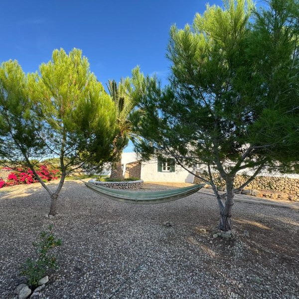 WhatsApp Image 2025-11-11 at 19.51.15