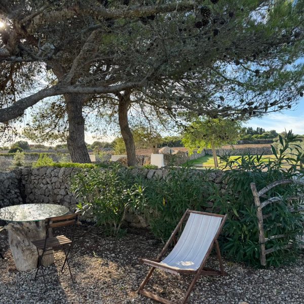 WhatsApp Image 2025-11-11 at 19.51.16