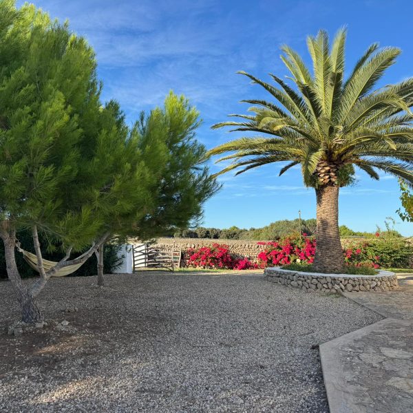 WhatsApp Image 2025-11-11 at 19.51.17