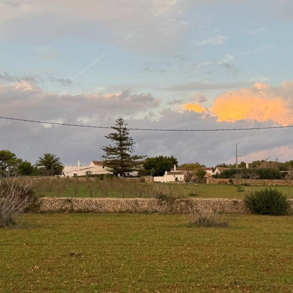 WhatsApp Image 2025-11-11 at 19.51.23